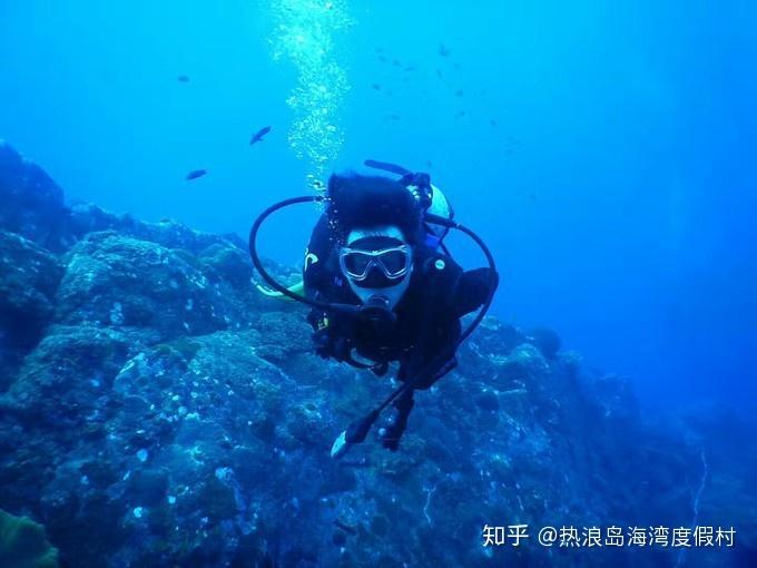猎人的生存日记加强中文版