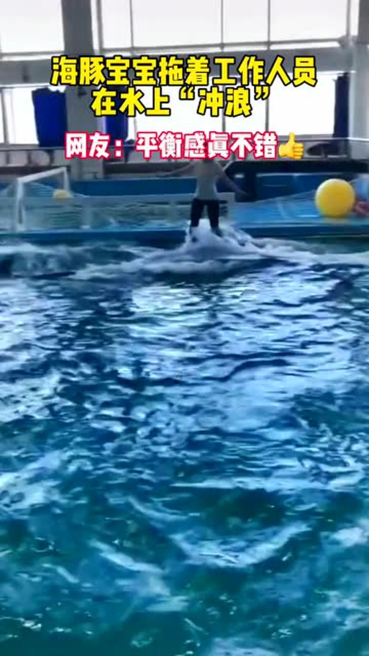 混乱特工