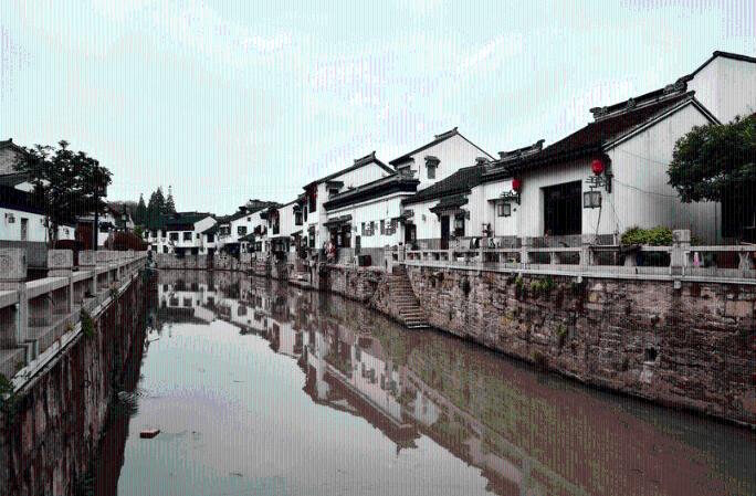 狐狸的旅程