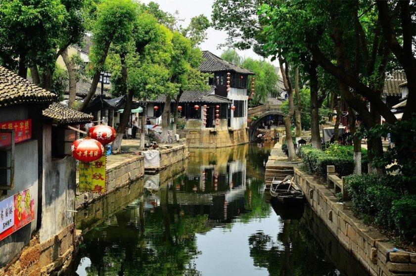 拯救昆虫群